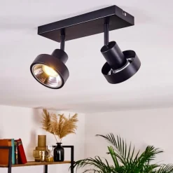 Plafonnier Chagres Noir, Argenté, 2 lumières