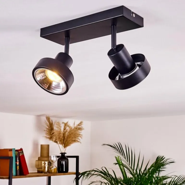 Plafonnier Chagres Noir, Argenté, 2 lumières