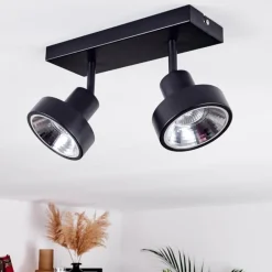 Plafonnier Chagres Noir, Argenté, 2 lumières