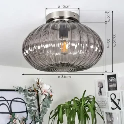 Plafonnier Chapal Nickel mat, 1 lumière