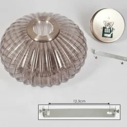 Plafonnier Chapal Nickel mat, 1 lumière