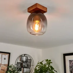 Plafonnier Chauplane Bois foncé, Noir, 1 lumière