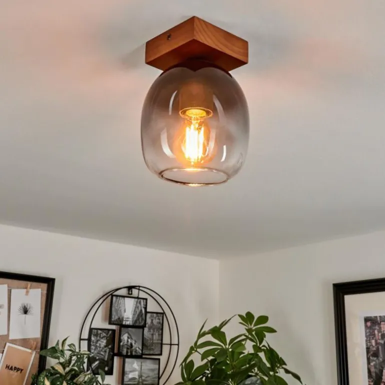 Plafonnier Chauplane Bois foncé, Noir, 1 lumière