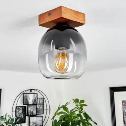 Plafonnier Chauplane Bois foncé, Noir, 1 lumière