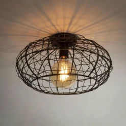 Plafonnier Connect Brun, Noir, 1 lumière