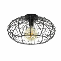 Plafonnier Connect Brun, Noir, 1 lumière