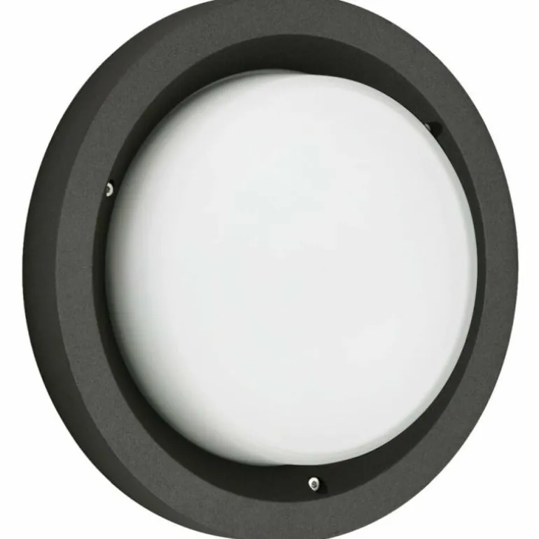 Plafonnier d'extérieur Albert 6410 LED Noir, 1 lumière