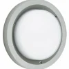 Plafonnier d'extérieur Albert 6410 LED Argenté, 1 lumière