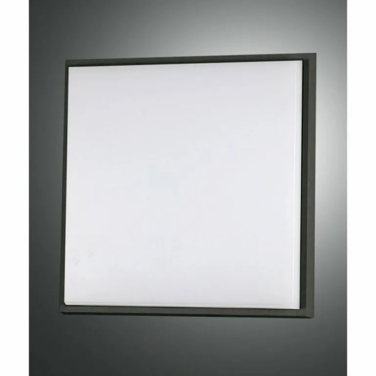 Plafonnier d'extérieur Fabas Luce Desdy LED Noir, 1 lumière