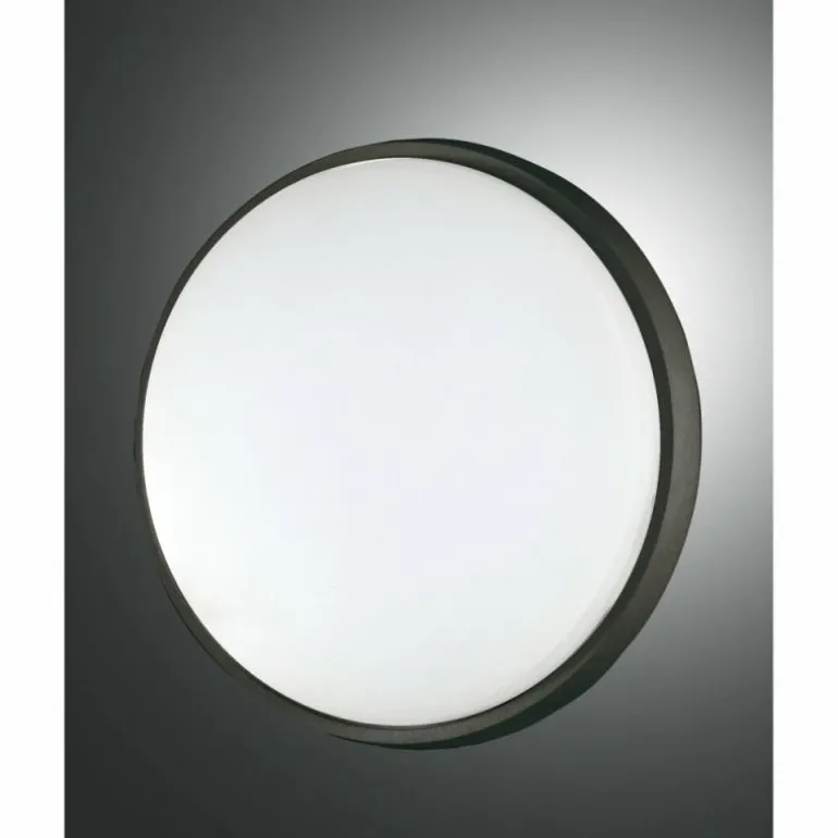 Plafonnier d'extérieur Fabas Luce Olly LED Noir, 1 lumière