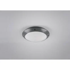 Plafonnier d'extérieur Reality CAMARO Anthracite, 1 lumière