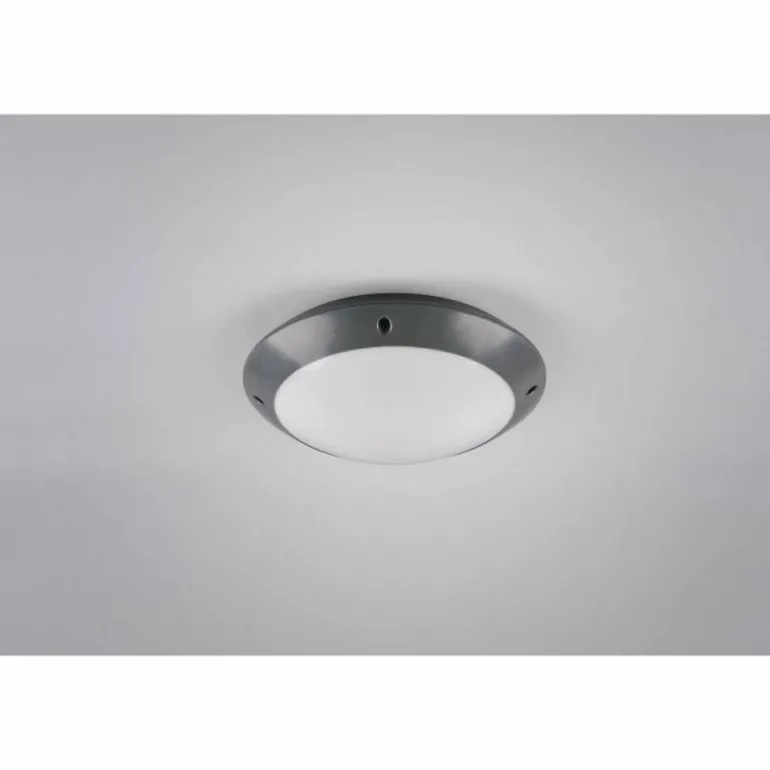 Plafonnier d'extérieur Reality CAMARO Anthracite, 1 lumière