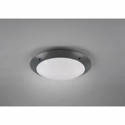 Plafonnier d'extérieur Reality CAMARO Anthracite, 2 lumières