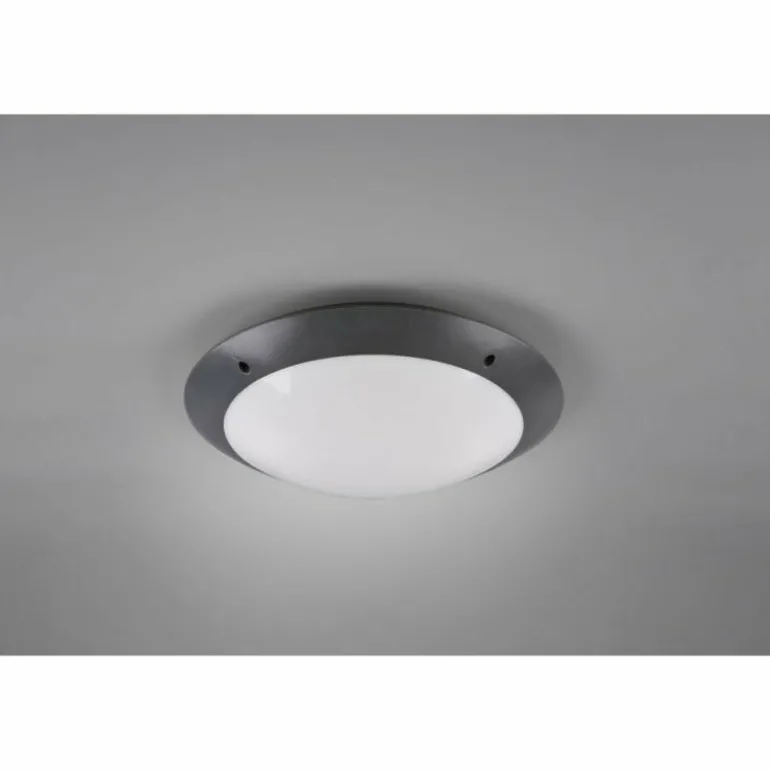 Plafonnier d'extérieur Reality CAMARO Anthracite, 2 lumières