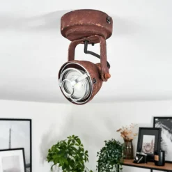 Plafonnier Drobak Rouille, Noir, 1 lumière