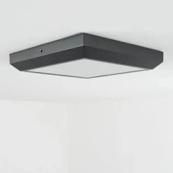 plafonnier extérieur Alkmaar LED Anthracite, 1 lumière