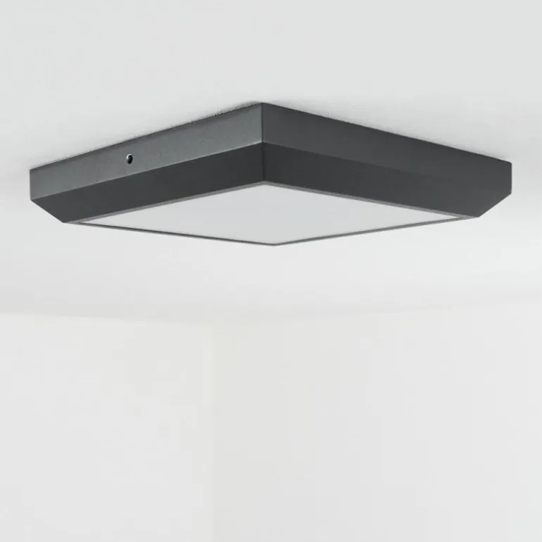 plafonnier extérieur Alkmaar LED Anthracite, 1 lumière