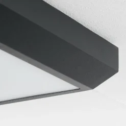 plafonnier extérieur Alkmaar LED Anthracite, 1 lumière
