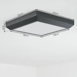 plafonnier extérieur Alkmaar LED Anthracite, 1 lumière