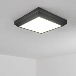 plafonnier extérieur Alkmaar LED Anthracite, 1 lumière
