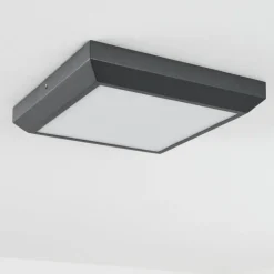 plafonnier extérieur Alkmaar LED Anthracite, 1 lumière