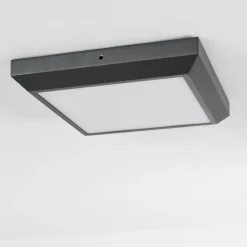 plafonnier extérieur Alkmaar LED Anthracite, 1 lumière
