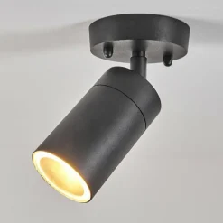 plafonnier extérieur Bessiebelle Noir, Blanc, 1 lumière