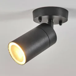 plafonnier extérieur Bessiebelle Noir, Blanc, 1 lumière