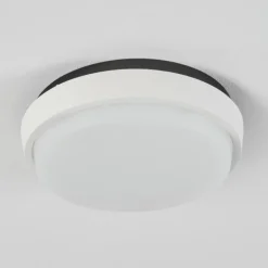 plafonnier extérieur Centinela LED Anthracite, Blanc, 1 lumière