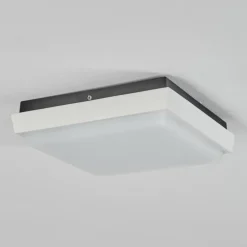 plafonnier extérieur Gomero LED Anthracite, Blanc, 1 lumière