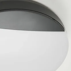 plafonnier extérieur Joserand LED Anthracite, 1 lumière