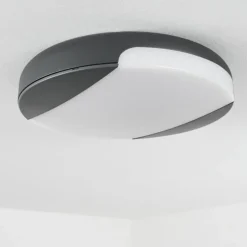 plafonnier extérieur Joserand LED Anthracite, 1 lumière