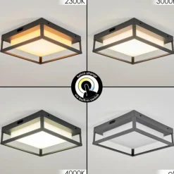 plafonnier extérieur Nonza LED Anthracite, 1 lumière