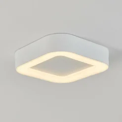 plafonnier extérieur Paleroo LED Blanc, 1 lumière