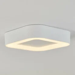 plafonnier extérieur Paleroo LED Blanc, 1 lumière