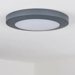 plafonnier extérieur Durivier LED Anthracite, 1 lumière