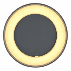 plafonnier extérieur Globo SURA LED Anthracite, 1 lumière
