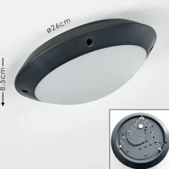 plafonnier extérieur Grafton Anthracite, 1 lumière