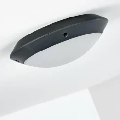 plafonnier extérieur Grafton Anthracite, 1 lumière