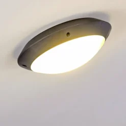 plafonnier extérieur Grafton Anthracite, 1 lumière