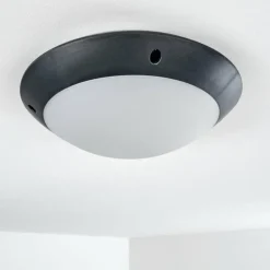 plafonnier extérieur Grafton Anthracite, 1 lumière