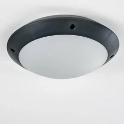 plafonnier extérieur Grafton Anthracite, 1 lumière