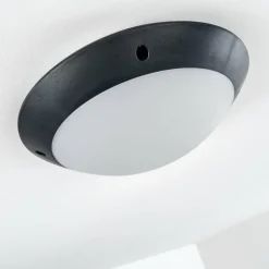 plafonnier extérieur Grafton Anthracite, 1 lumière