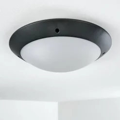 plafonnier extérieur Grafton Anthracite, 2 lumières