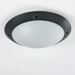 plafonnier extérieur Grafton Anthracite, 2 lumières