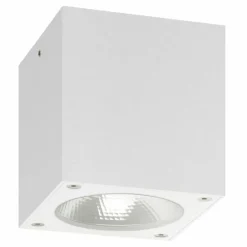 plafonnier extérieur LCD 5029 LED Blanc, 1 lumière