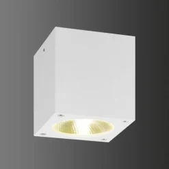 plafonnier extérieur LCD 5029 LED Blanc, 1 lumière