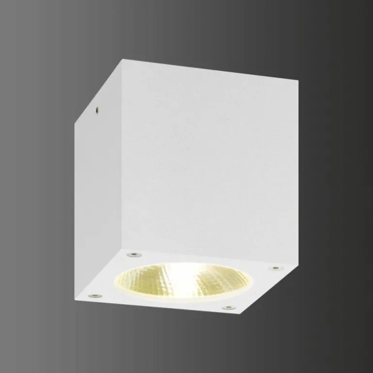 plafonnier extérieur LCD 5029 LED Blanc, 1 lumière