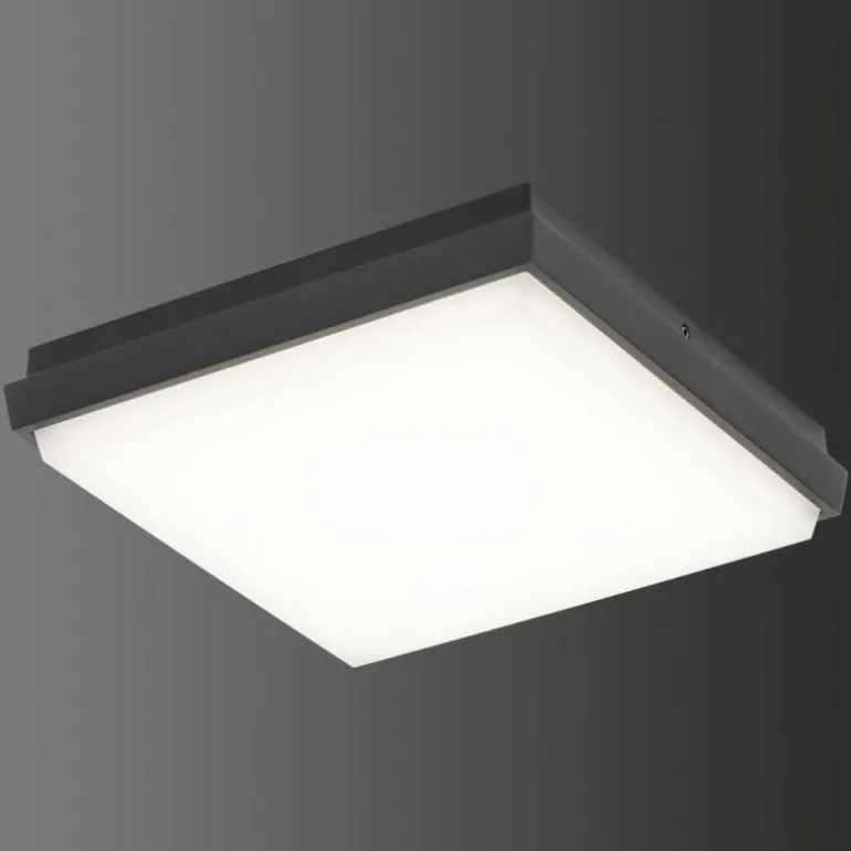 Plafonnier extérieur LCD TYP 5060 LED Noir, 1 lumière