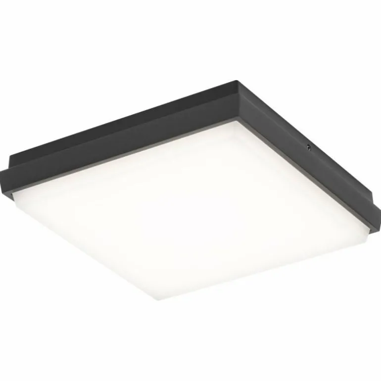 Plafonnier extérieur LCD TYP 5061 LED Noir, 1 lumière